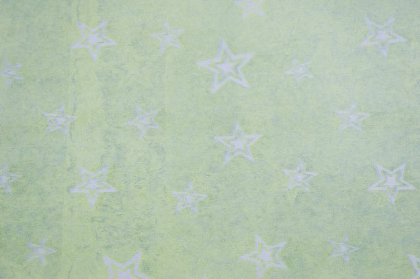 无人,横图,室内,特写,白天,正面,静物,阴影,花纹,新鲜,反射,纹路,图案,纹理,影子,星星,绿色,星形,青春,生命,和平,安详,五角形,肌理,冷色,五角星,彩图