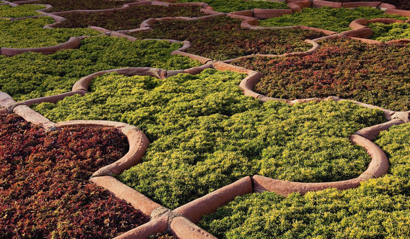 无人,花园,宫殿,横图,俯视,室外,白天,旅游,度假,花海,花圃,美景,叶子,印度,亚洲,阴影,盛开,光线,影子,景观,花蕾,娱乐,花,花瓣,花朵,鲜花,绿色,阳光,自然,花丛,花束,花田,花苞,花蕊,享受,休闲,景色,放松,古堡,自然风光,南亚,印度共和国,北方邦,阿格拉堡,阿格拉红堡,红堡,小花园,玩耍,彩图,高角度拍摄