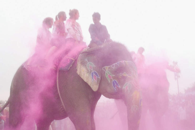 两个人,坐,横图,彩色,室外,白天,侧面,抽象,民族服装,度假,绘画,草地,草坪,美景,植物,城市风光,城市,大象,野生动物,纺织品,印度,亚洲,花纹,艺术,彩绘,毛毯,毯子,图案,手工制品,景观,艺术品,许多人,古典,图像,文化,娱乐,草,绿色,蓝天,天空,动物,工艺品,天,品味,一群人,享受,休闲,概念,景色,放松,可爱,活泼,美术,高雅,南亚,凶猛,首府,拉贾斯坦邦,拉贾斯坦,印度共和国,美学,构图,红粉之城,斋普尔,式样,图文,男人,男性,女人,女性,中年男性,中年女性,亚洲人,印度人,坐着,半身,彩图,传统服装,民俗服,涂鸦