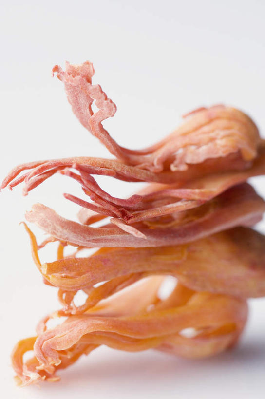 无人,竖图,俯视,室内,特写,白天,白色背景,植物,一堆,堆叠,堆积,干燥,香料,草药,药草,晒干,调味料,中药,四个,摄影,影棚,堆,肉豆蔻,药材,中草药,肉蔻,肉果,玉果,中药材,本草,消食,彩图,高角度拍摄,影棚拍摄,拍摄