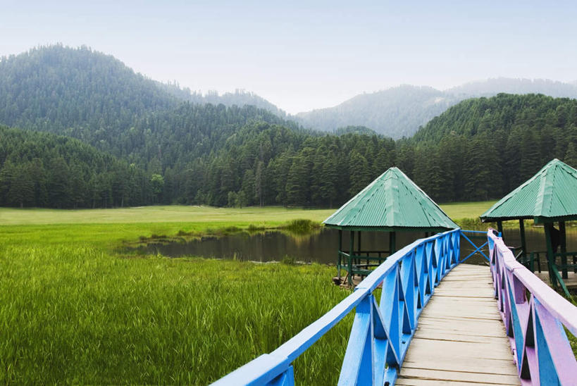 无人,横图,室外,白天,正面,旅游,度假,草地,草坪,美景,山,山脉,植物,印度,亚洲,阴影,光线,木板,影子,景观,山峰,桥,木桥,山峦,娱乐,栈桥,草,树,树木,蓝色,绿色,蓝天,天空,阳光,自然,群山,天,享受,休闲,景色,放松,生长,晴朗,成长,人行桥,木板桥,自然风光,南亚,万里无云,喜马偕尔邦,印度共和国,高山之州,喜马偕尔,晴空,晴空万里,彩图