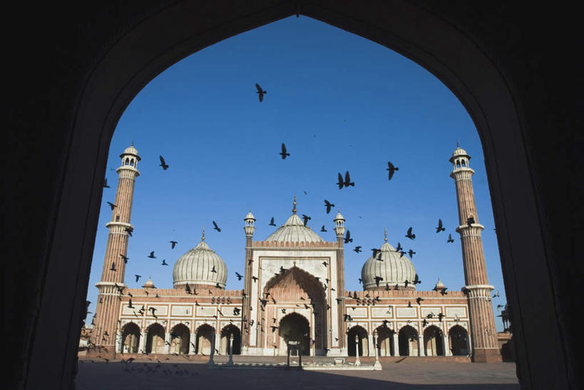 无人,伸展双臂,横图,室外,白天,仰视,旅游,度假,名胜古迹,门,标志建筑,地标,建筑,鸟,印度,亚洲,一排,一群,许多,飞翔,阴影,节日,遗迹,整齐,飞行,光线,鸟类,影子,墙,拱门,很多,翱翔,古迹,文化,文物,娱乐,建设,飞,古建筑,墙壁,墙面,排列,蓝色,蓝天,天空,阳光,门框,天,祈祷,享受,休闲,健康,旅游胜地,放松,许愿,宗教,信仰,晴朗,纪念,祈求,伊斯兰教,队列,清真寺,南亚,古文明,万里无云,印度共和国,贾玛清真寺,贾玛寺,旧德里,平安,晴空,晴空万里,敞开双臂,伸开双臂,展开双肩,张开手臂,张开双臂,彩图,低角度拍摄,全身