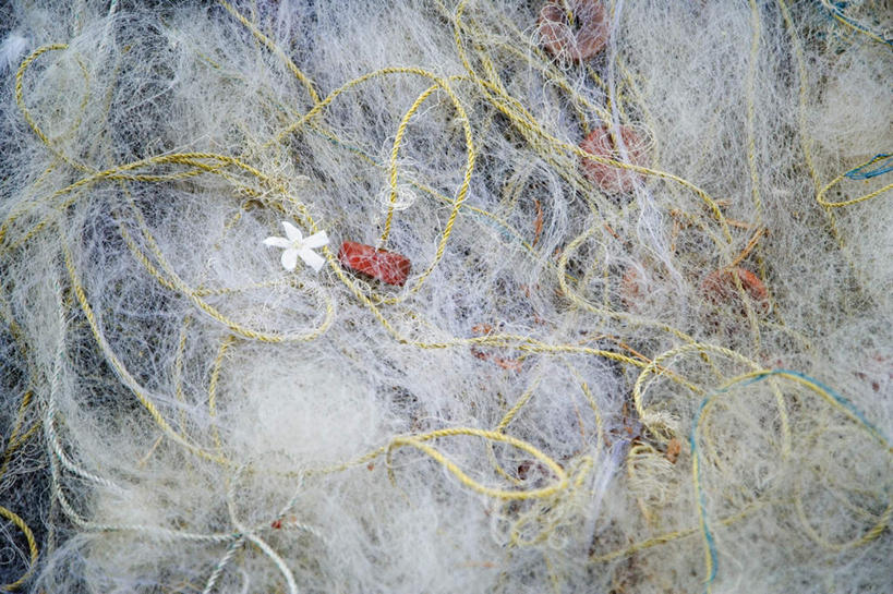 无人,横图,俯视,室内,特写,白天,旅游,度假,美景,印度,亚洲,一堆,堆叠,堆积,朦胧,模糊,盛开,景观,花蕾,娱乐,花,花瓣,花朵,鲜花,一朵,自然,花苞,花蕊,享受,休闲,景色,放松,渔网,堆,渔具,抓捕,自然风光,南亚,捕捞,鱼网,喀拉拉邦,拉网,捕捞工具,印度共和国,喀拉拉,彩图,高角度拍摄