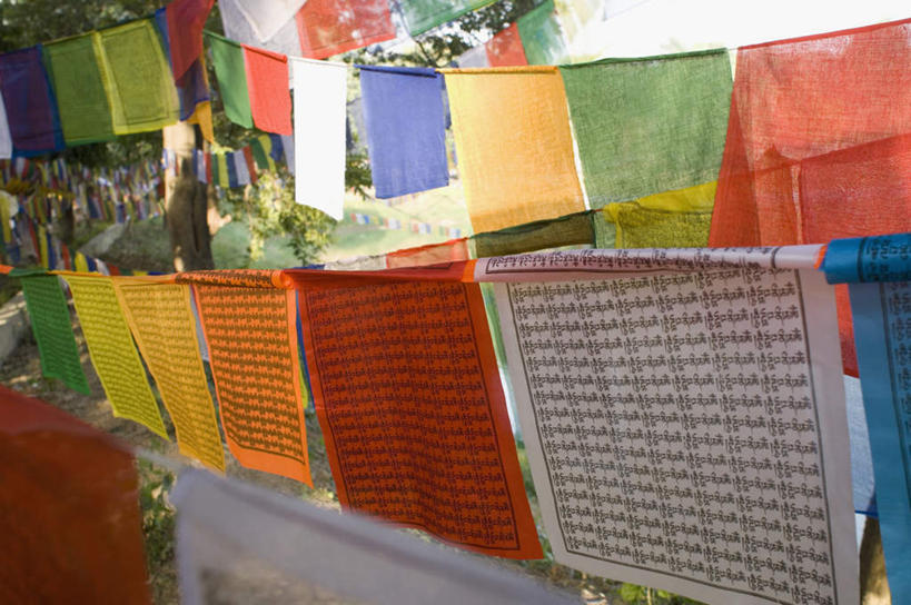 无人,横图,彩色,室外,特写,白天,正面,植物,旗帜,一排,吊挂,悬挂,朦胧,模糊,整齐,挂,旗子,经幡,树,树木,排列,绿色,自然,生长,成长,五颜六色,色彩斑斓,队列,五彩缤纷,风马旗,五彩斑斓,旌旗,旗号,五光十色,彩图