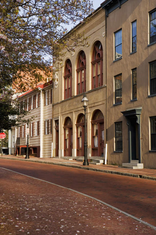 无人,家,竖图,室外,白天,正面,度假,美景,植物,窗户,城市风光,城市,道路,建筑,路,路灯,公路,照明,美国,房屋,屋子,景观,建筑群,灯光,交通,娱乐,建设,楼房,玻璃窗,住宅,灯,树,树木,绿色,自然,享受,休闲,景色,放松,生长,成长,照亮,北美,北美洲,照明设备,美洲,首府,马里兰州,自由之州,战线之州,马里兰,北亚美利加洲,亚美利加洲,小美国,安纳波利斯,安那波利斯,亚那波里斯,马路,彩图,房子