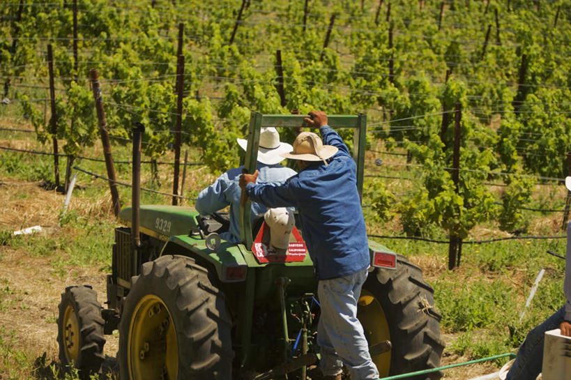 两个人,农民,坐,走,推,横图,室外,白天,旅游,度假,农业,美景,植物,汽车,帽子,美国,戴,服装,草帽,景观,娱乐,车,树,树木,背面,衣服,绿色,自然,交通工具,享受,休闲,机械,景色,放松,服饰,生长,成长,北美,北美洲,衣着,穿着,加利福尼亚,自然风光,载具,拖拉机,美洲,旧金山,加州,加利福尼亚州,圣弗朗西斯科,三藩市,金州,黄金州,交通运输,农用机械,衣饰,老年男性,男人,男性,佃农,农场主,农夫,农工,乡下人,小农,庄稼人,步行,散步,走路,坐着,半身,彩图