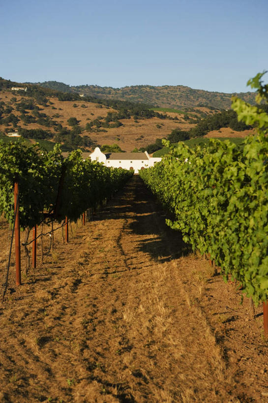 无人,家,农田,竖图,俯视,室外,白天,旅游,度假,庄稼,美景,山,山脉,房屋,屋子,景观,山峰,山峦,娱乐,楼房,农庄,住宅,蓝色,蓝天,天空,自然,群山,天,享受,休闲,景色,放松,晴朗,自然风光,万里无云,晴空,晴空万里,彩图,高角度拍摄,耕地,庄稼田,房子