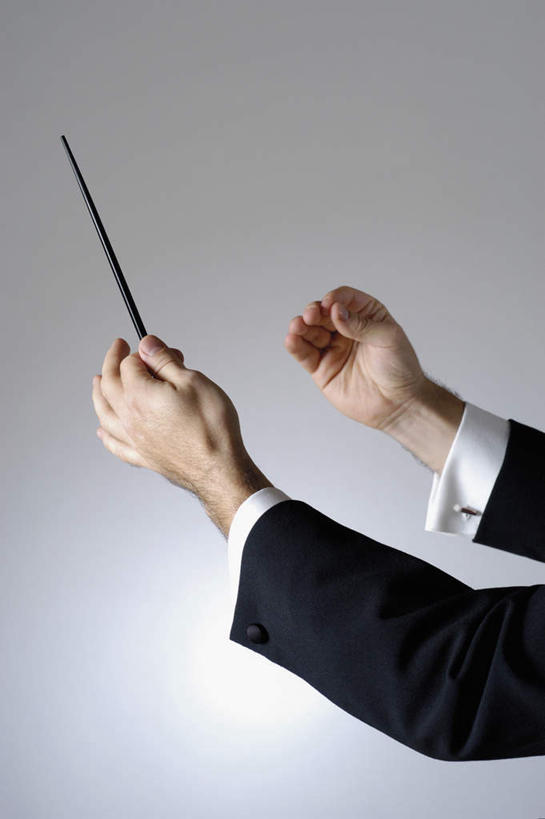 西方人,手,一个人,竖图,室内,特写,白天,侧面,西装,欧洲,欧洲人,双手,仅一个男性,仅一个人,握,阴影,灰色背景,套装,正装,反射,棒子,影子,指挥棒,拿,指挥,指挥家,拿着,职业装,仅一个年轻男性,手部,握着,摄影,影棚,节奏,节拍,男人,男性,年轻男性,白种人,半身,彩图,影棚拍摄,拍摄,短小,音乐艺术家,棍棒
