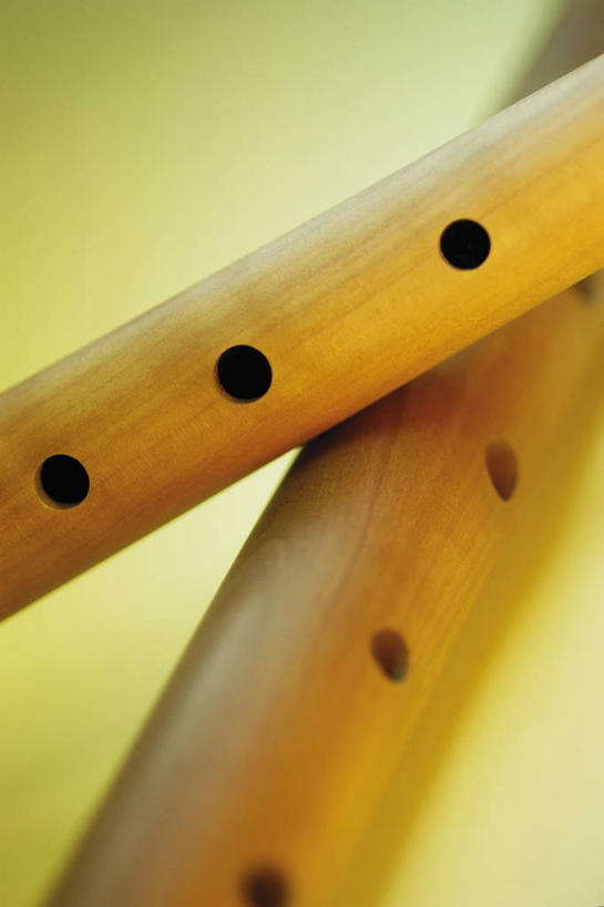 无人,竖图,室内,特写,白天,正面,静物,绿色背景,阴影,朦胧,模糊,艺术,反射,影子,笛子,乐器,木管乐器,竖笛,音乐,两只,摄影,影棚,直笛,彩图,影棚拍摄,拍摄