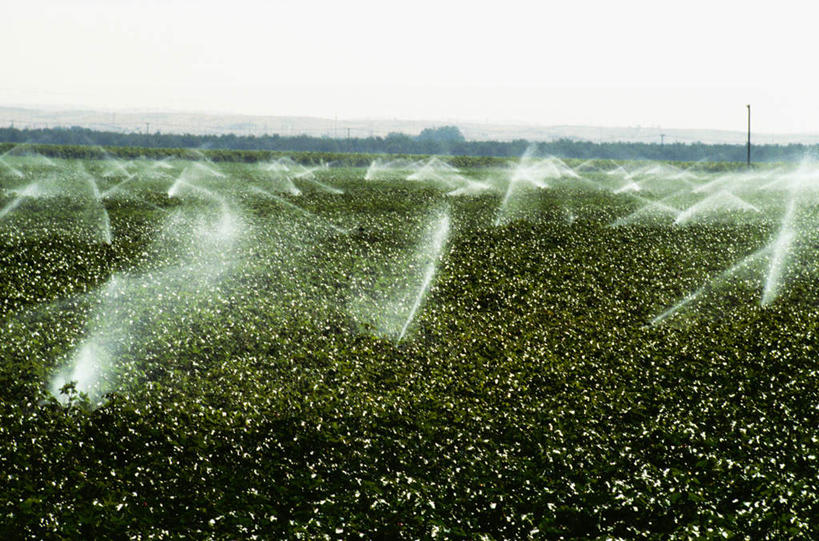 无人,农田,横图,室外,白天,正面,旅游,度假,庄稼,农作物,草地,草坪,美景,水,植物,阴影,飞溅,柔软,溅,光线,液体,影子,景观,水滴,棉花,娱乐,浇水,水珠,草,树,树木,纺织,蓝色,绿色,蓝天,天空,阳光,自然,天,享受,休闲,健康,温暖,景色,放松,生长,晴朗,成长,纤维,喷洒,自然风光,万里无云,柔和,暖和,晴空,晴空万里,彩图,耕地,庄稼田