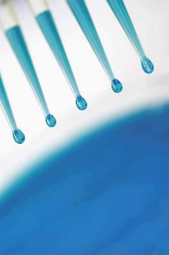 无人,竖图,室内,特写,白天,正面,实验,仪器,阴影,朦胧,模糊,研究,透明,反射,分析,化学,测试,滴管,培养皿,液体,影子,玻璃制品,蓝色,器皿,生物,摄影,影棚,计量,皮氏培养皿,玻璃仪器,试验耗材,实验用品,化学器材,吸液管,移液管,彩图,影棚拍摄,拍摄