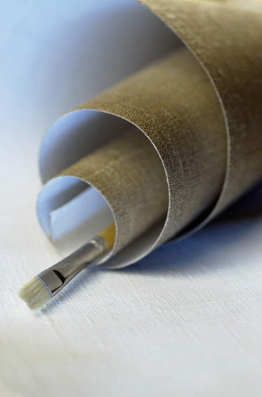 无人,竖图,俯视,室内,特写,白天,白色背景,静物,阴影,花纹,朦胧,模糊,环绕,围绕,反射,笔,布,图案,影子,办公用品,布纹,环抱,文具,画笔,学习用品,摄影,影棚,布匹,文具用品,一支,画布,萦绕,彩图,高角度拍摄,影棚拍摄,拍摄