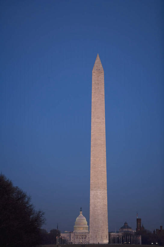 无人,竖图,室外,夜晚,仰视,旅游,度假,名胜古迹,植物,标志建筑,地标,建筑,美国,遗迹,纪念碑,纪念馆,首都,古迹,文物,娱乐,建设,古建筑,树,树木,绿色,自然,享受,休闲,旅游胜地,放松,生长,成长,北美,北美洲,美洲,古文明,华盛顿特区,华盛顿纪念碑,华盛顿哥伦比亚特区,华府,华盛顿纪念塔,北亚美利加洲,亚美利加洲,彩图,低角度拍摄