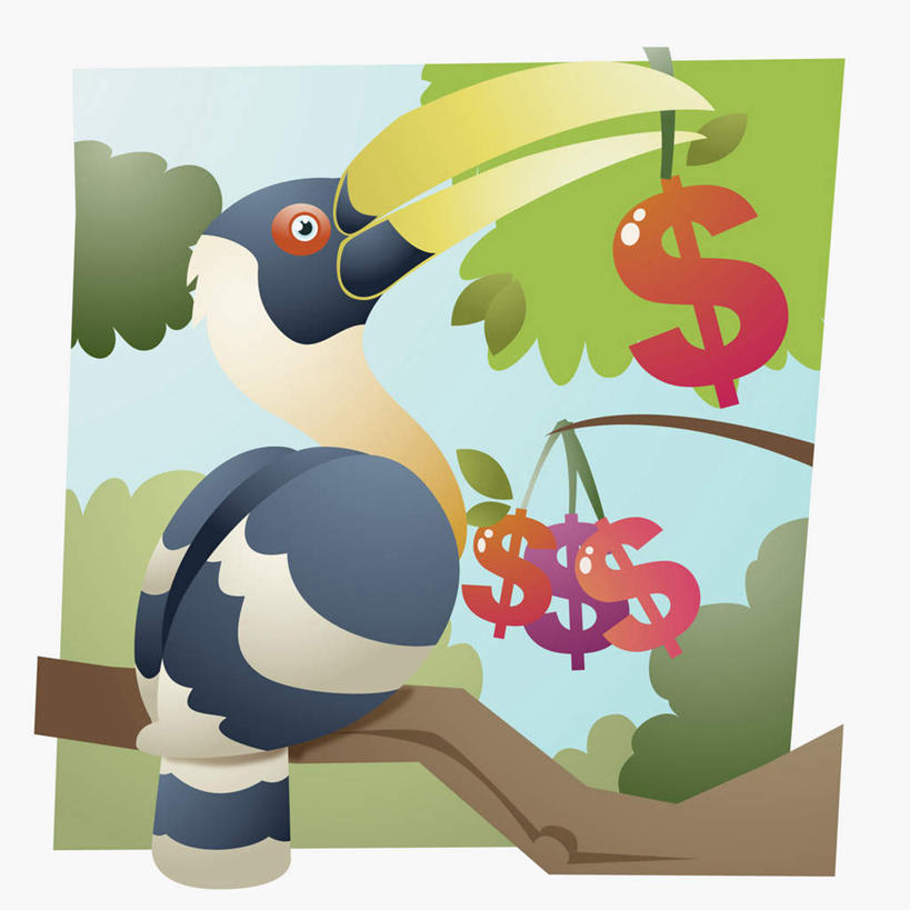 无人,站,方图,插画,室内,白天,白色背景,侧面,钱,美元,数码,科技,美景,植物,鸟,野生动物,阴影,网络,鸟类,标志,钱币,文字,字符,字母,景观,枝条,高光,几何,计算机图形,美金,合成,图画,注视,标识,画,树,树木,树枝,一只,自然,动物,观察,看,站着,景色,金融,经济,观看,电脑合成图,数码合成图,察看,叼,合成图,关注,叼着,自然风光,美圆,漫画,流通,贸易,巨嘴鸟,写实,具体,具象,鵎鵼,虬枝,枝杈,货币,站立,彩图,全身