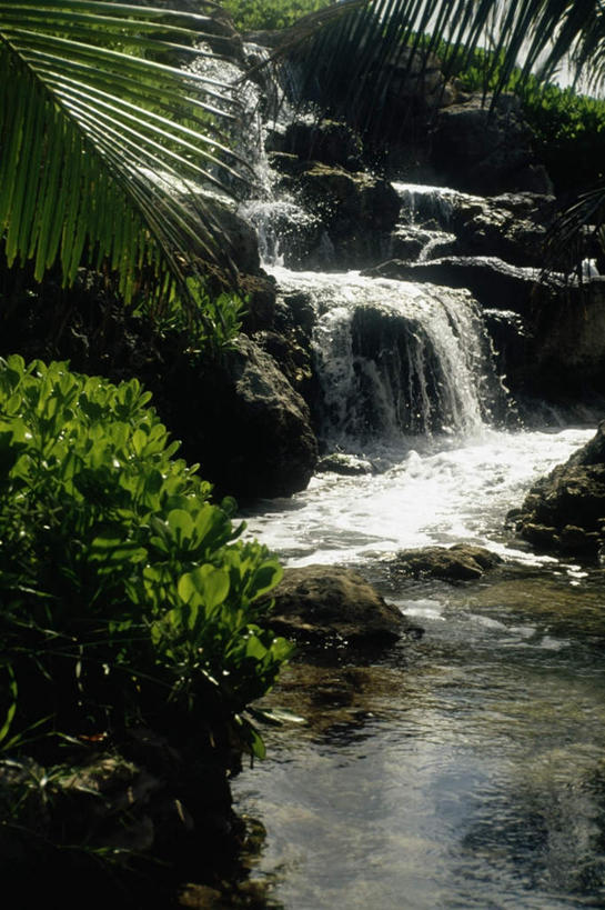 无人,竖图,室外,白天,正面,旅游,度假,河流,石头,美景,水,植物,巴哈马,石子,河水,景观,水流,首都,娱乐,树,树木,绿色,小溪,自然,溪水,享受,休闲,景色,放松,生长,成长,北美,北美洲,自然风光,美洲,北亚美利加洲,亚美利加洲,巴哈马联邦,石块,岩石,彩图,拿骚