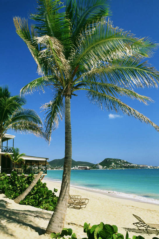 无人,餐厅,竖图,室外,白天,正面,旅游,度假,海浪,海洋,美景,沙滩,植物,棕榈树,叶子,法国,欧洲,阴影,光线,沙子,影子,海岸,景观,浪花,云,云朵,绿叶,沙地,云彩,娱乐,树,树木,蓝色,绿色,白云,蓝天,天空,阳光,自然,海水,天,享受,休闲,嫩叶,景色,放松,生长,晴朗,成长,自然风光,海景,棕榈叶,法属圣马丁,法兰西共和国,圣马丁岛,法兰西第五共和国,叶,叶片,大海,风浪,海,海水的波动,海滩,近岸浪,涌浪,晴空,彩图,餐馆,饭店,饭馆