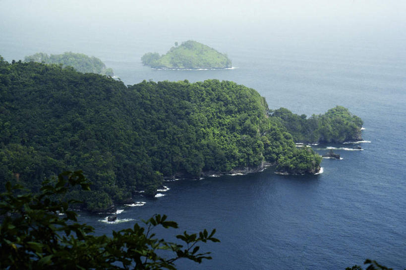 无人,横图,俯视,航拍,室外,白天,旅游,度假,海浪,海洋,美景,森林,沙滩,山,山脉,树林,植物,加勒比海,阴影,光线,沙子,影子,海岸,景观,浪花,山峰,沙地,山峦,娱乐,树,树木,绿色,阳光,自然,海水,群山,享受,休闲,景色,放松,生长,成长,南美洲,拉丁美洲,鸟瞰,自然风光,美洲,海景,多巴哥岛,亚美利加洲,南亚美利加洲,特立尼达岛,大海,风浪,海,海水的波动,海滩,近岸浪,涌浪,彩图,高角度拍摄