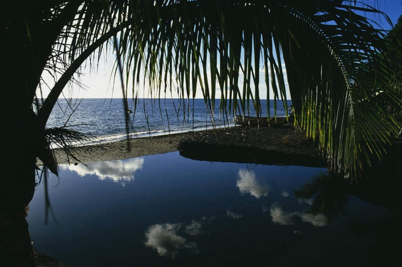 无人,横图,室外,白天,正面,旅游,度假,海浪,海洋,美景,沙滩,植物,棕榈树,叶子,法国,欧洲,阴影,光线,沙子,影子,海岸,景观,浪花,水平线,辽阔,绿叶,海平线,沙地,娱乐,树,树木,蓝色,绿色,蓝天,天空,阳光,自然,海水,天,享受,休闲,广阔,嫩叶,景色,放松,生长,晴朗,成长,一望无际,自然风光,海景,棕榈叶,万里无云,法兰西共和国,法兰西第五共和国,无边无际,一马平川,马提尼克,马提尼克岛,叶,叶片,大海,风浪,海,海水的波动,海滩,近岸浪,涌浪,晴空,晴空万里,彩图,水天相接,水天一线
