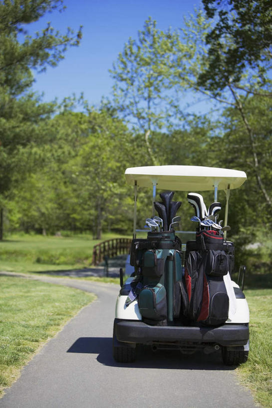 无人,竖图,室外,白天,正面,草地,草坪,植物,道路,路,两辆,阴影,光线,高尔夫,高尔夫球,影子,小路,交通,草,树,树木,蓝色,绿色,蓝天,天空,阳光,自然,交通工具,天,生长,晴朗,成长,高尔夫球杆,载具,高尔夫车,高尔夫运动,高尔夫球具,高尔夫球车,高尔夫观光车,高尔夫用品,万里无云,晴空,晴空万里,彩图