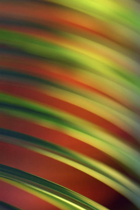 无人,竖图,彩色,室内,特写,白天,正面,游戏,彩虹,玩具,一排,阴影,朦胧,模糊,整齐,环绕,缠绕,反射,螺旋,线条,影子,圈,七彩,玩,娱乐,排列,红色,绿色,休闲,益智,拉伸,庞大,活动,复杂,变形,队列,发泄,消遣,智力,纠缠,彩虹圈,宣泄,伸缩,繁杂,弹力,玩耍,嬉戏,彩图