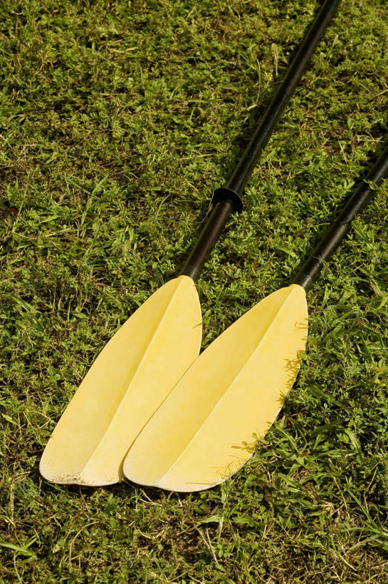 无人,竖图,俯视,室外,特写,白天,草地,草坪,植物,阴影,光线,影子,草,两个,黄色,绿色,阳光,桨,彩图,高角度拍摄