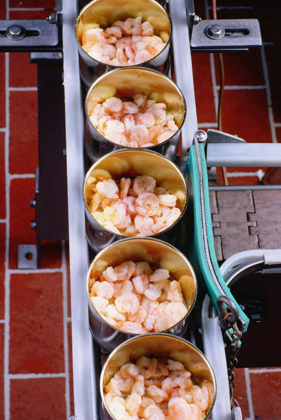 海鲜,无人,工厂,搬运,竖图,俯视,室内,白天,一堆,一排,堆叠,堆积,整齐,传输,罐头,罐子,水产,海洋生物,排列,运输,堆,传送带,便利,传送,罐头食品,队列,载具,水生动物,海产品,水生物,传输带,海底动物,方便,彩图,高角度拍摄,工地,制造厂