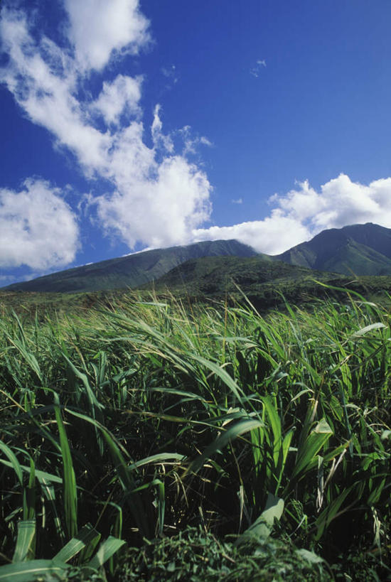 无人,农田,竖图,室外,白天,正面,旅游,度假,庄稼,农作物,岛屿,石头,美景,山,山脉,夏威夷,美国,阴影,光线,石子,影子,景观,山顶,山峰,云,云朵,山峦,云彩,娱乐,蓝色,白云,蓝天,天空,阳光,自然,群山,天,享受,休闲,景色,放松,晴朗,北美,北美洲,自然风光,美洲,沉积岩,夏威夷岛,夏威夷州,爱洛哈之州,北亚美利加洲,亚美利加洲,大岛,颠峰,极峰,水成岩,列岛,群岛,石块,岩石,诸岛,晴空,彩图,耕地,庄稼田