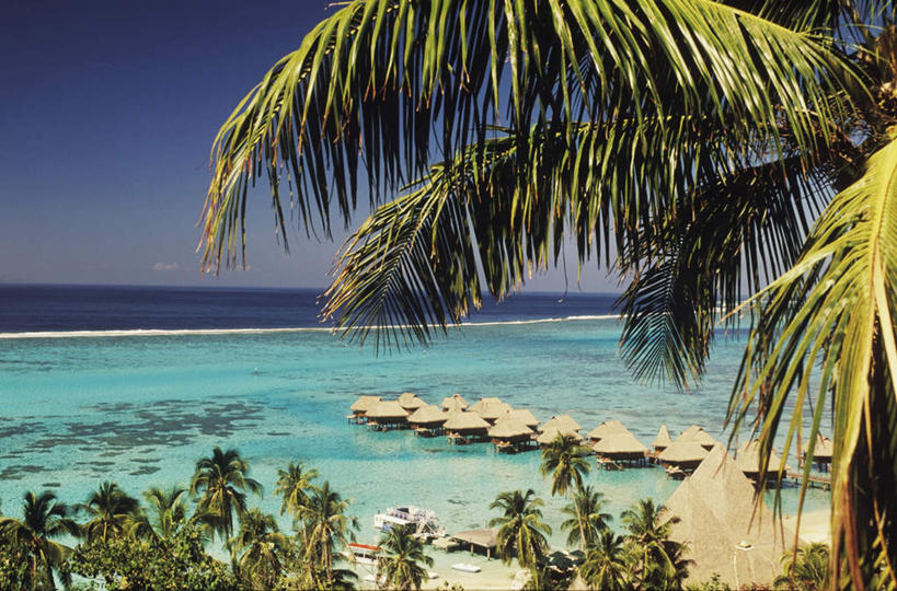 无人,家,木屋,横图,俯视,室外,白天,旅游,度假,岛屿,海浪,海洋,美景,沙滩,树林,植物,棕榈树,叶子,夏威夷,美国,一排,阴影,整齐,并列,并排,光线,沙子,影子,海岸,景观,浪花,水平线,辽阔,绿叶,海平线,沙地,娱乐,住宅,树,树木,排列,蓝色,绿色,蓝天,天空,阳光,自然,海水,天,享受,休闲,广阔,嫩叶,景色,放松,生长,晴朗,成长,一望无际,北美,北美洲,队列,自然风光,美洲,平行,海景,棕榈叶,万里无云,夏威夷岛,夏威夷州,爱洛哈之州,北亚美利加洲,亚美利加洲,大岛,无边无际,一马平川,叶,叶片,大海,风浪,海,海水的波动,海滩,近岸浪,列岛,群岛,涌浪,诸岛,晴空,晴空万里,彩图,高角度拍摄,茅舍,茅屋,棚屋,小木屋,小屋,水天相接,水天一线