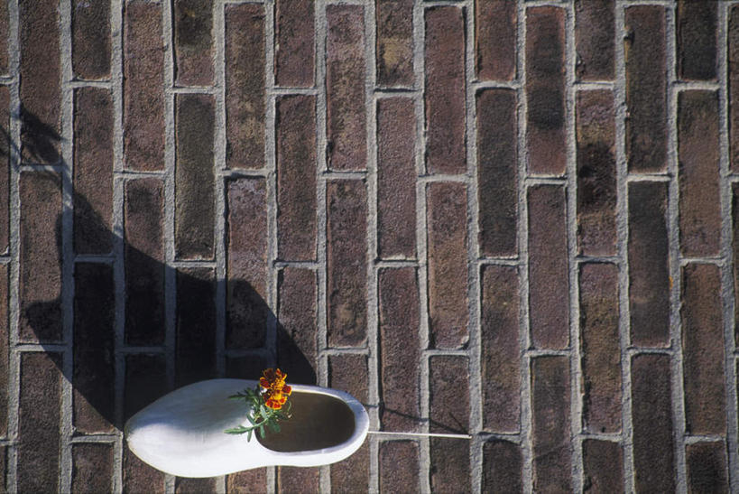 无人,横图,俯视,室外,特写,白天,石头,道路,路,公路,鞋子,欧洲,荷兰,阴影,装饰,盛开,光线,木制,石子,影子,交通,首都,花蕾,花,花瓣,花朵,鲜花,一只,白色,阳光,木制品,花苞,花蕊,华丽,修饰,点缀,西欧,平底鞋,阿姆斯特丹,衬托,美观,雅致,雅观,荷兰王国,尼德兰王国,石块,马路,彩图,高角度拍摄