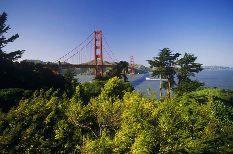 无人,横图,室外,白天,正面,度假,河流,美景,树林,水,植物,城市风光,标志建筑,城市,大桥,地标,建筑,桥梁,美国,阴影,光线,影子,河水,景观,水流,建筑群,桥,娱乐,建设,拱桥,树,树木,蓝色,绿色,蓝天,天空,阳光,自然,天,享受,休闲,景色,放松,生长,晴朗,成长,悬索桥,北美,北美洲,加利福尼亚,美洲,金门大桥,加州,加利福尼亚州,万里无云,金州,黄金州,金门海峡,桁架拱桥,北亚美利加洲,亚美利加洲,晴空,晴空万里,彩图