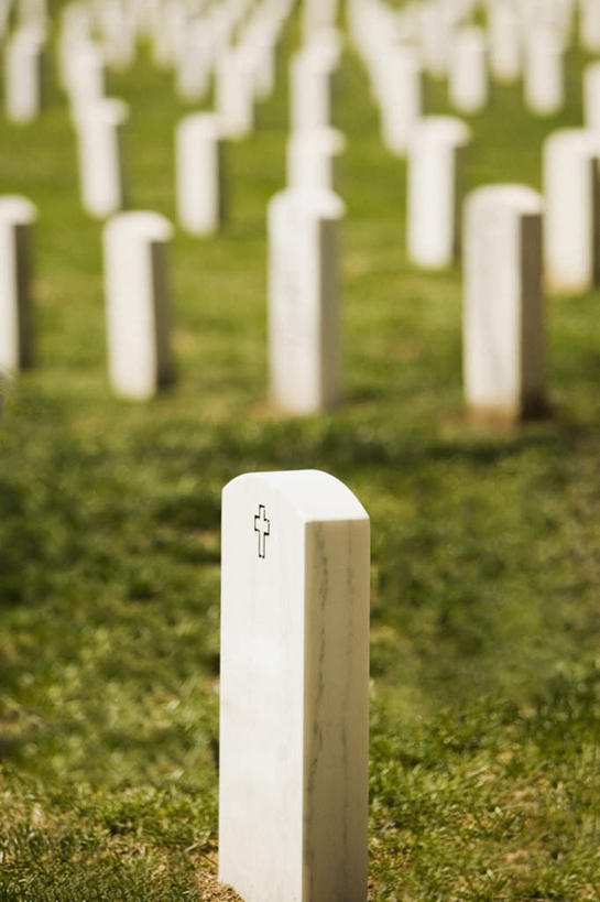 无人,竖图,俯视,室外,特写,白天,旅游,度假,草地,草坪,名胜古迹,植物,标志建筑,地标,建筑,美国,朦胧,模糊,遗迹,古迹,文物,娱乐,建设,古建筑,草,绿色,享受,休闲,墓地,公墓,旅游胜地,放松,坟墓,陵墓,北美洲,美洲,坟场,古文明,弗吉尼亚,弗吉尼亚州,阿灵顿国家公墓,阿灵顿,北亚美利加洲,亚美利加洲,维吉尼亚,老自治领州,阿灵顿县,阿灵顿公墓,彩图,高角度拍摄