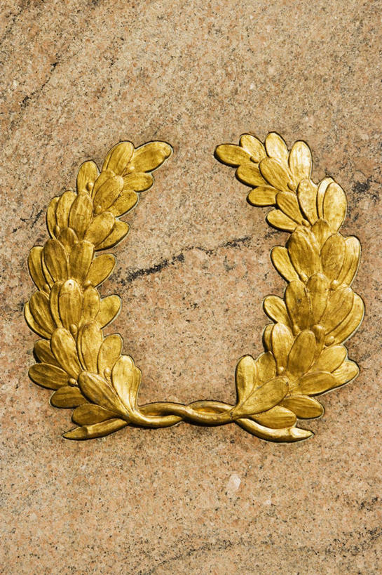 无人,竖图,室外,特写,白天,正面,胜利,静物,叶子,雕塑,阴影,艺术,装饰,反射,雕刻,雕像,影子,墙,绿叶,枝条,墙壁,墙面,树枝,工艺品,金色,嫩叶,纪念,美术,富贵,象征,草本,主题,陈列,桂冠,月桂叶,香叶,忠诚,杰出,功能,美学,天竺桂,香桂叶,桂叶,富丽,名誉,荣华,虬枝,枝杈,月桂,叶,叶片,彩图