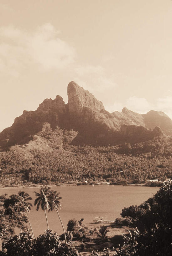 无人,竖图,室外,白天,正面,旅游,度假,海浪,海洋,美景,山,山脉,植物,棕榈树,叶子,夏威夷,美国,景观,浪花,山峰,绿叶,山峦,娱乐,树,树木,绿色,自然,海水,群山,享受,休闲,嫩叶,景色,放松,生长,成长,北美,北美洲,国家公园,自然风光,美洲,海景,棕榈叶,火山岛,夏威夷岛,夏威夷州,爱洛哈之州,夏威夷火山国家公园,北亚美利加洲,亚美利加洲,火山公园,火山国家公园,叶,叶片,大海,风浪,海,海水的波动,近岸浪,涌浪,彩图