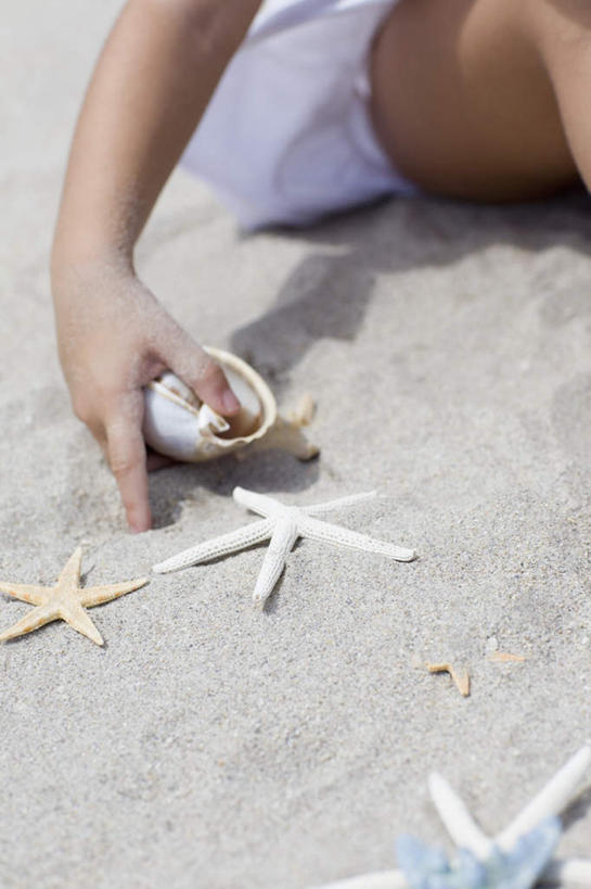 西方人,儿童,手,一个人,竖图,俯视,室外,特写,白天,裙子,纯洁,沙滩,海星,贝壳,欧洲,欧洲人,仅一个女性,仅一个人,握,阴影,连衣裙,朦胧,模糊,光线,沙子,影子,海岸,沙地,拿,拿着,海洋生物,小孩,阳光,自然,动物,仅一个小孩,手部,生物,可爱,童年,童趣,握着,单手,童真,烂漫,无邪,天真,棘皮动物门,女孩,女人,女性,白种人,孩子,贝类外壳,海螺壳,软体动物外壳,海滩,星鱼,半身,彩图,高角度拍摄,女生