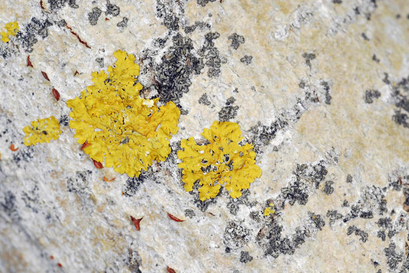 无人,横图,室内,特写,白天,正面,静物,阴影,破碎,反射,影子,墙,墙壁,墙面,黄色,肮脏,破裂,摧毁,邋遢,龌龊,污秽,彩图