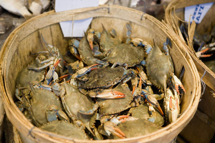 海鲜,蟹,无人,交叉,横图,俯视,室外,白天,购物,消费,竹子,一堆,许多,堆叠,堆积,竹制,编织,螃蟹,篮子,集市,市场,很多,水产,海洋生物,竹篮,金融,竹条,堆,交织,竹制品,水生动物,海产品,水生物,选购,贸易,海底动物,穿插,彩图,高角度拍摄,全身