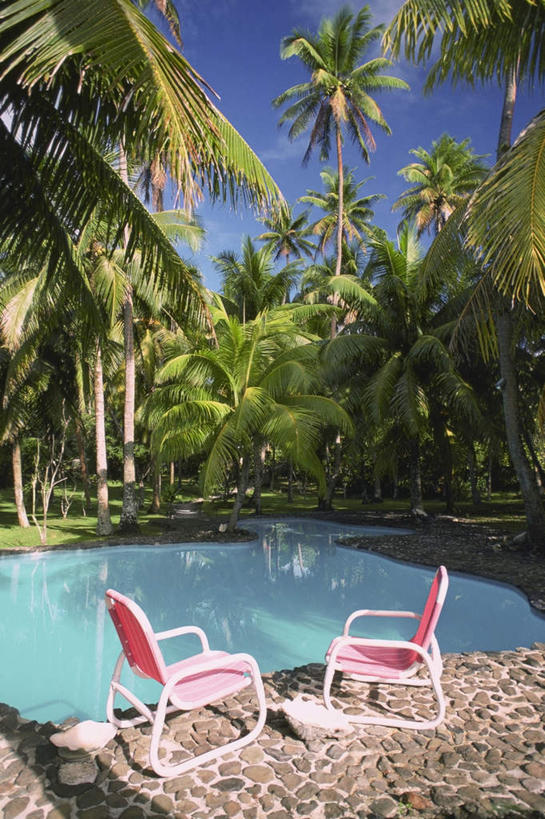 无人,体育馆,游泳池,竖图,室外,白天,仰视,旅游,度假,美景,沙滩,树林,水,植物,棕榈树,叶子,椅子,斐济,阴影,光线,沙子,影子,海岸,景观,水池,水面,绿叶,沙地,娱乐,泳池,座椅,树,树木,蓝色,绿色,蓝天,天空,阳光,自然,天,享受,休闲,嫩叶,景色,放松,生长,晴朗,成长,游泳馆,自然风光,大洋洲,棕榈叶,折叠椅,万里无云,南太平洋,斐济群岛共和国,叶,叶片,海滩,晴空,晴空万里,彩图,低角度拍摄