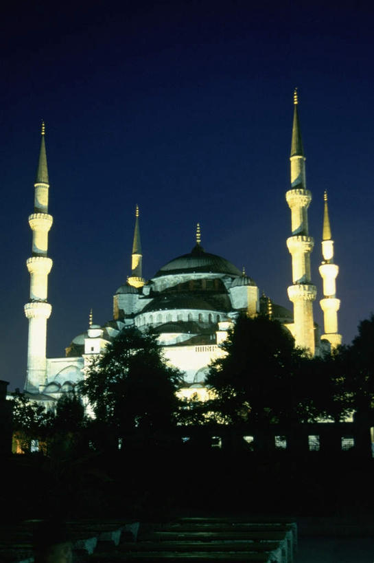 无人,竖图,室外,夜晚,仰视,度假,美景,植物,城市风光,城市,土耳其,亚洲,阴影,节日,光线,影子,景观,灯光,首都,文化,娱乐,树,树木,蓝色,绿色,蓝天,天空,自然,天,祈祷,享受,休闲,健康,景色,放松,许愿,宗教,信仰,生长,晴朗,成长,纪念,祈求,伊斯兰教,清真寺,西亚,伊斯坦布尔,万里无云,蓝色清真寺,素檀何密清真寺,平安,晴空,晴空万里,彩图,低角度拍摄,土耳其共和国