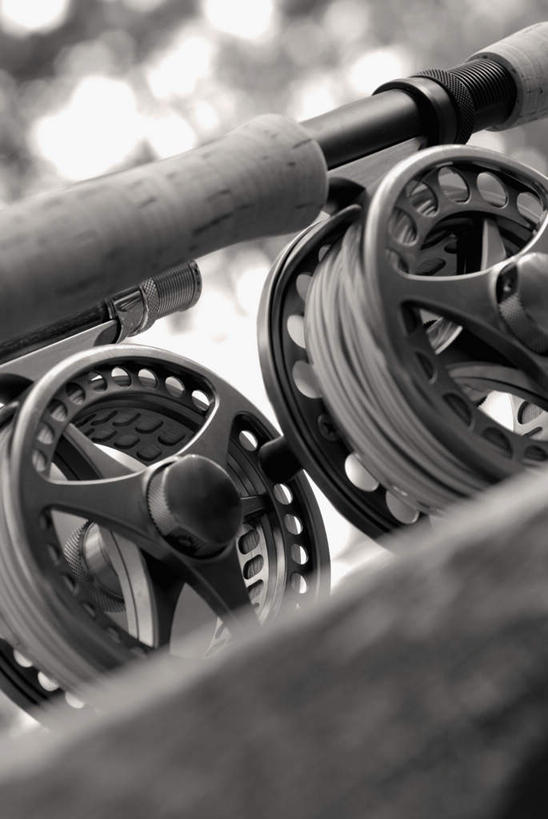 无人,竖图,黑白,室外,特写,白天,正面,钓鱼竿,阴影,朦胧,模糊,光线,影子,两个,阳光,渔具,鱼线轮,卷线器,钓竿,鱼竿,钓鱼