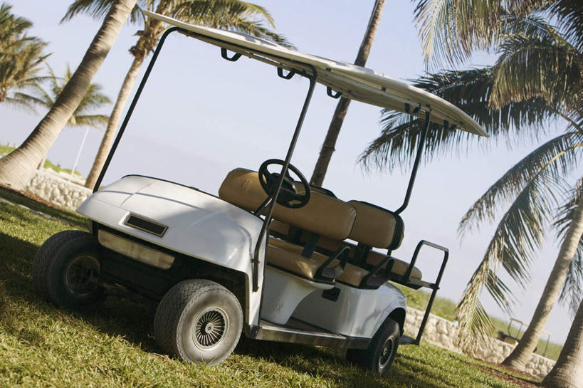 无人,横图,室外,白天,正面,机器,仪器,草地,草坪,植物,棕榈树,叶子,一辆,阴影,光线,影子,球场,绿叶,设备,高尔夫球场,草,树,树木,蓝色,绿色,蓝天,天空,阳光,自然,方向盘,交通工具,天,驾驶,行驶,嫩叶,生长,晴朗,成长,控制,载具,高尔夫车,绿茵场,棕榈叶,高尔夫球车,高尔夫观光车,高尔夫用品,万里无云,叶,叶片,晴空,晴空万里,彩图