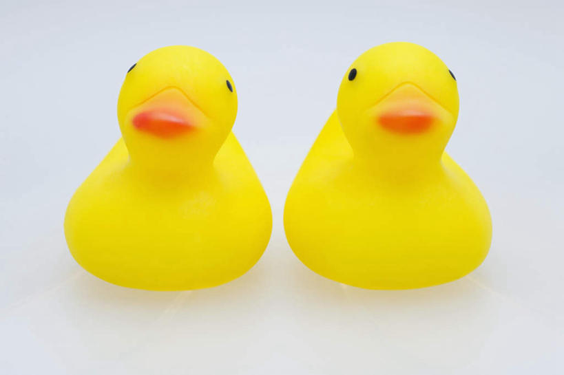 无人,横图,室内,特写,白天,白色背景,正面,游戏,静物,玩具,鸭子,玩,娱乐,两个,黄色,休闲,橡胶,益智,摄影,影棚,活动,发泄,消遣,智力,橡胶制品,宣泄,橡胶小鸭,橡皮小鸭,玩耍,嬉戏,彩图,影棚拍摄,拍摄