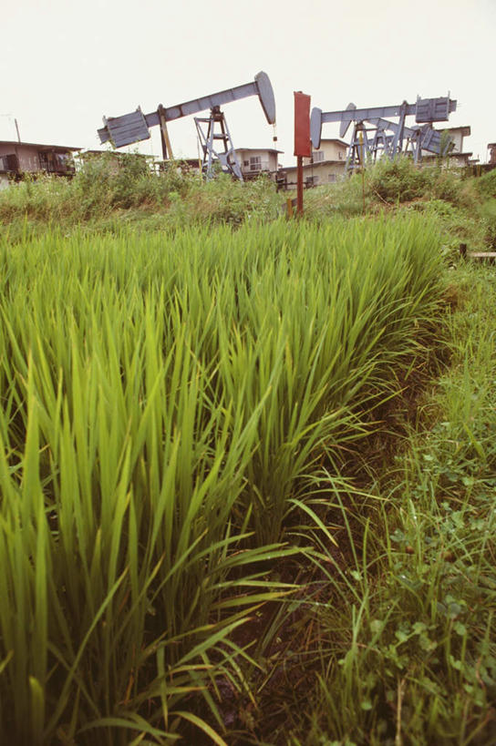 无人,农田,竖图,室外,白天,正面,旅游,度假,农业,庄稼,农作物,技术,美景,建筑,秋田县,日本,亚洲,稻田,景观,娱乐,设备,施工,自然,享受,休闲,机械,起重机,景色,放松,工程,自然风光,油井,钻井,东亚,钻井平台,本州,本州岛,日本国,秋田,东北地方,彩图,耕地,庄稼田