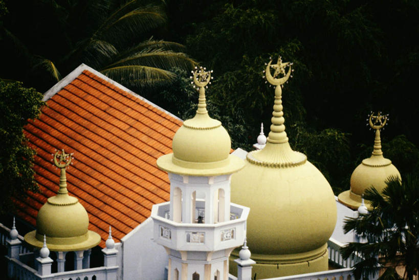 无人,横图,俯视,室外,白天,旅游,度假,植物,标志建筑,地标,建筑,棕榈树,叶子,新加坡,亚洲,节日,瓦片,屋顶,绿叶,首都,顶棚,瓦,文化,娱乐,建设,树,树木,绿色,自然,祈祷,享受,休闲,健康,嫩叶,旅游胜地,放松,许愿,宗教,建造,东南亚,信仰,生长,成长,纪念,祈求,伊斯兰教,清真寺,棕榈叶,屋瓦,新加坡共和国,平安,叶,叶片,彩图,高角度拍摄,苏丹回教堂