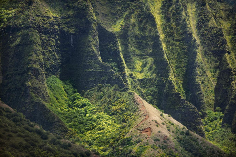 无人,公园,横图,室外,白天,正面,旅游,度假,岛屿,美景,山,山脉,树林,植物,夏威夷,美国,朦胧,模糊,纹路,纹理,景观,山峰,山峦,娱乐,树,树木,绿色,自然,群山,享受,休闲,景色,放松,生长,成长,北美,北美洲,自然风光,美洲,肌理,夏威夷州,爱洛哈之州,可爱岛,考艾岛,考爱岛,纳帕利海岸州立公园,北亚美利加洲,亚美利加洲,花园之岛,列岛,群岛,诸岛,彩图