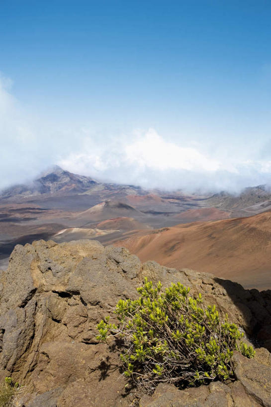 无人,公园,竖图,室外,白天,正面,旅游,度假,岛屿,石头,美景,山,山脉,植物,夏威夷,美国,阴影,光线,石子,影子,景观,山峰,云,云朵,山峦,云彩,娱乐,树,树木,蓝色,绿色,白云,蓝天,天空,阳光,自然,群山,天,享受,休闲,景色,放松,生长,晴朗,成长,北美,北美洲,国家公园,自然风光,美洲,夏威夷州,爱洛哈之州,北亚美利加洲,亚美利加洲,哈雷阿卡拉国家公园,列岛,群岛,石块,诸岛,晴空,彩图,毛伊岛,茂伊岛,茂宜岛,山谷之岛