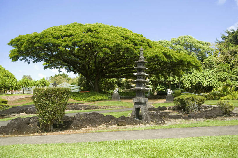 无人,横图,室外,白天,正面,旅游,度假,草地,草坪,美景,植物,照明,夏威夷,美国,阴影,光线,影子,景观,灯光,娱乐,灯,草,树,树木,蓝色,绿色,蓝天,天空,阳光,自然,灯具,天,享受,休闲,景色,放松,生长,晴朗,成长,照亮,北美,北美洲,照明设备,自然风光,美洲,万里无云,夏威夷州,爱洛哈之州,希洛,北亚美利加洲,亚美利加洲,晴空,晴空万里,彩图,石灯