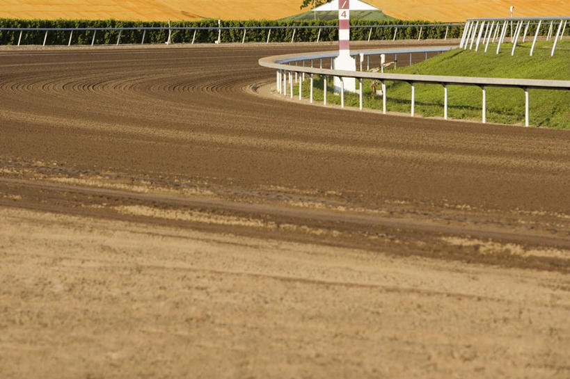 无人,体育馆,栏杆,运动场,横图,室外,白天,正面,草地,草坪,植物,扶手,体育场,护栏,马场,草,绿色,赛马场,跑马场,运动馆,彩图