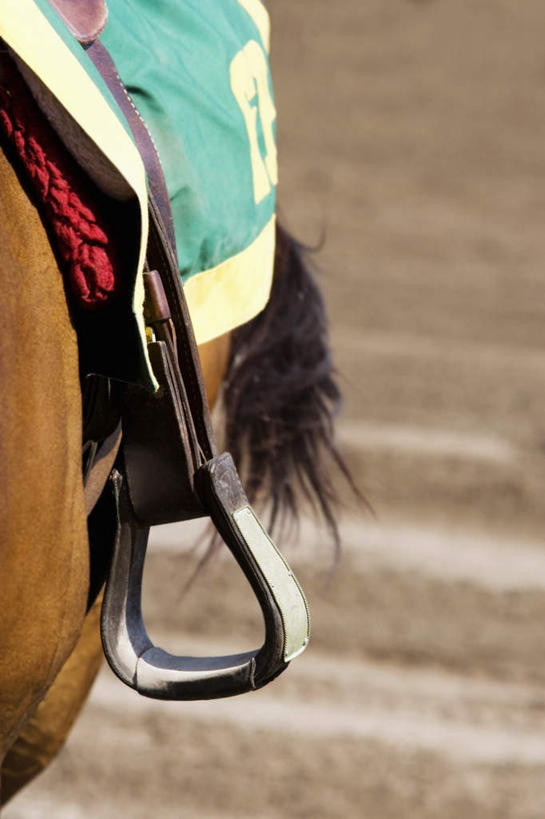 无人,体育馆,运动场,站,竖图,俯视,室外,特写,白天,马,野生动物,朦胧,模糊,体育场,马场,一匹,座位,马鞍,动物,站着,运输,牲畜,赛马场,跑马场,运动馆,马具,站立,半身,彩图,高角度拍摄