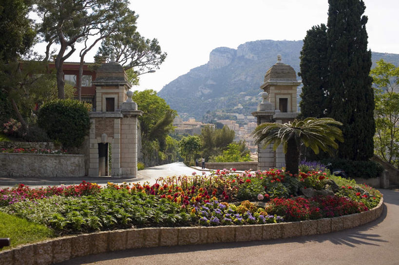 西方人,一个人,站,横图,室外,白天,旅游,度假,花海,花圃,美景,山,山脉,植物,道路,路,叶子,摩纳哥,欧洲,欧洲人,仅一个男性,仅一个人,阴影,服装,盛开,光线,影子,景观,山峰,小路,交通,山峦,花蕾,休闲装,娱乐,花,花瓣,花朵,花卉,鲜花,仅一个年轻男性,背面,衣服,蓝色,绿色,蓝天,天空,阳光,自然,花丛,花束,花田,群山,天,花苞,花蕊,站着,享受,休闲,休闲服,摩纳哥公国,景色,放松,服饰,晴朗,自然风光,万里无云,蒙特卡洛,蒙地卡罗,男人,男性,年轻男性,白种人,晴空,晴空万里,站立,彩图,全身