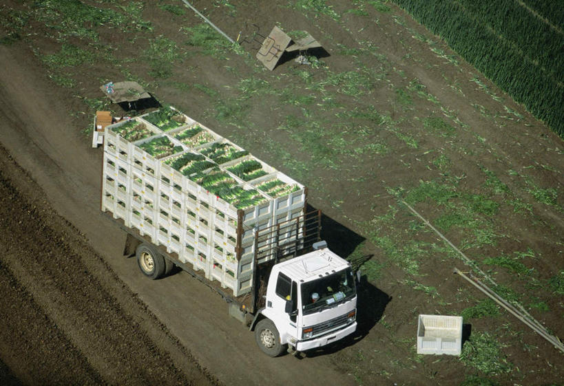 无人,农田,横图,俯视,航拍,室外,白天,旅游,度假,庄稼,农作物,美景,卡车,汽车,一堆,一辆,一排,许多,阴影,堆叠,堆积,丰富,丰收,整齐,光线,篮子,影子,景观,丰盛,娱乐,车,排列,阳光,自然,容器,交通工具,享受,休闲,景色,放松,储藏,堆,鸟瞰,储存,队列,自然风光,载具,丰登,丰硕,彩图,高角度拍摄,耕地,庄稼田,贮存